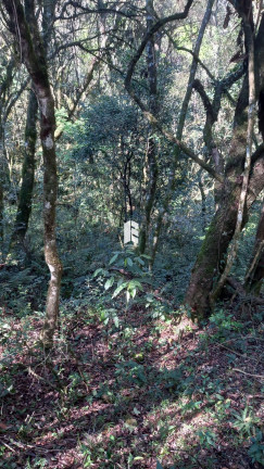 Imagem Terreno à Venda, 3.457 m² em Centro - Itaara Imagem Terreno à Venda, 3.457 m² em Centro - Itaara