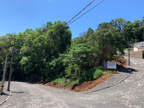 Imagem Terreno à Venda, 1 m² em Dois Pinheiros - Videira Imagem Terreno à Venda, 1 m² em Dois Pinheiros - Videira