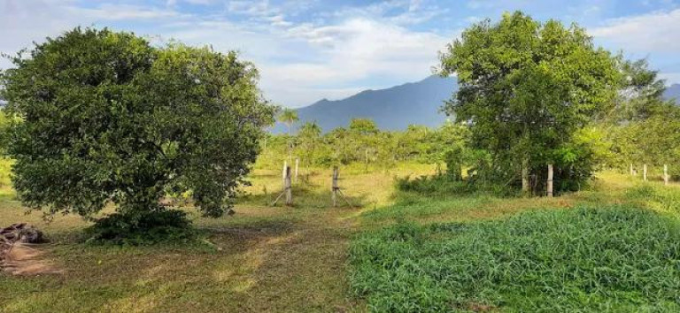 Imagem Imóvel com 2 Quartos à Venda, 111.000 m² em Alexandra - Paranagua