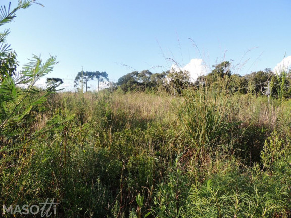 Imagem Terreno à Venda, 450 m² em Dutra - Gramado Imagem Terreno à Venda, 450 m² em Dutra - Gramado
