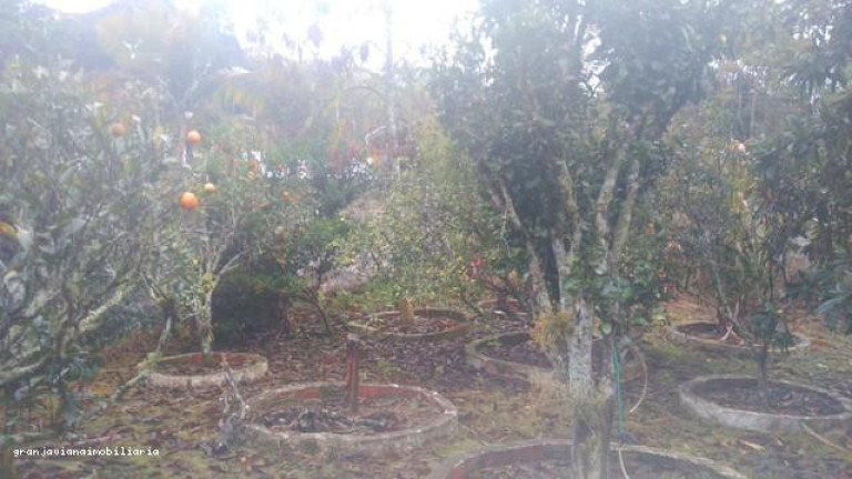 Imagem Chácara à Venda, em Consultar - Ibiúna Imagem Chácara à Venda, em Consultar - Ibiúna