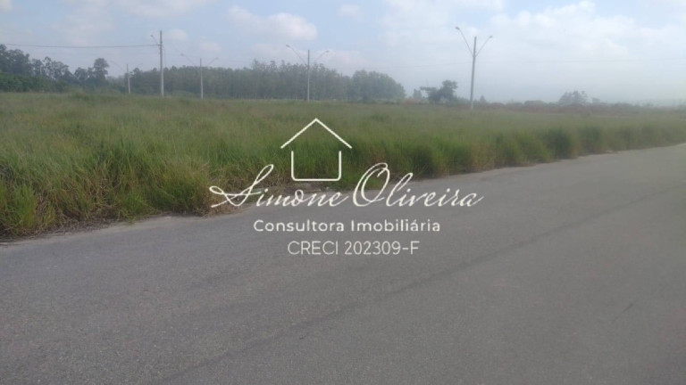Imagem Terreno à Venda, 125 m² em Residencial E Comercial Portal Dos Eucaliptos - Pindamonhangaba Imagem Terreno à Venda, 125 m² em Residencial E Comercial Portal Dos Eucaliptos - Pindamonhangaba