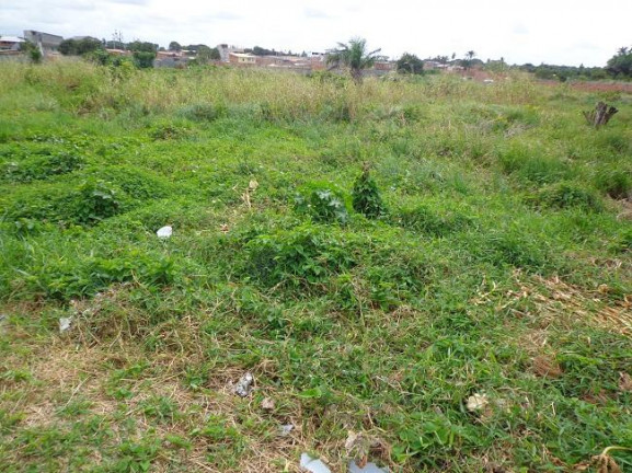 Imagem Terreno à Venda, 4 m²em Abrantes - Camaçari Imagem Terreno à Venda, 4 m²em Abrantes - Camaçari