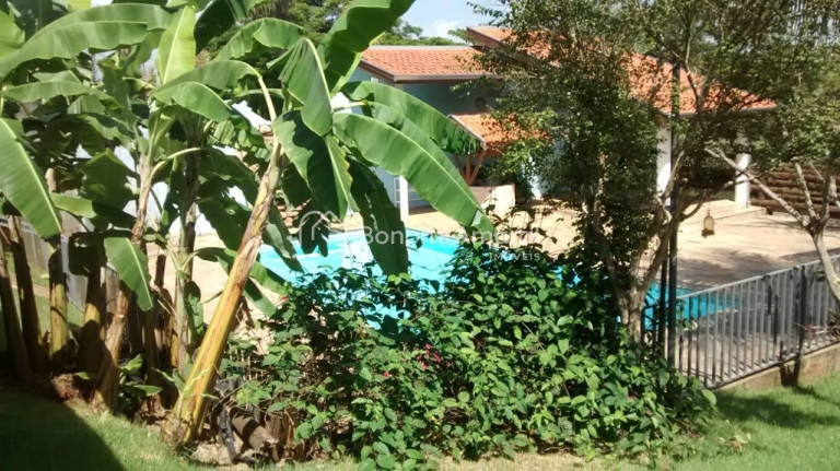 Imagem Chácara com 3 Quartos à Venda, 1.000 m² em Recanto Dos Dourados - Campinas Imagem Chácara com 3 Quartos à Venda, 1.000 m² em Recanto Dos Dourados - Campinas