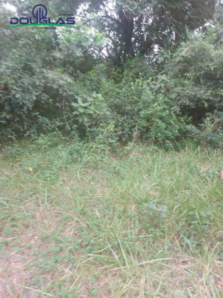 Imagem Imóvel Comercial à Venda, 20.000 m² em Viamão Imagem Imóvel Comercial à Venda, 20.000 m² em Viamão