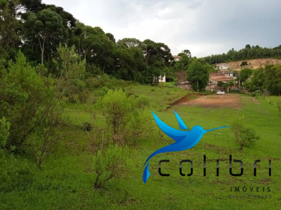 Imagem Terreno à Venda, 3.785 m² em Pinheiro Ocado - Agudos Do Sul