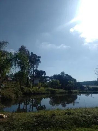 Imagem Imóvel com 7 Quartos à Venda, 32.000 m² em Centro - Tijucas Do Sul