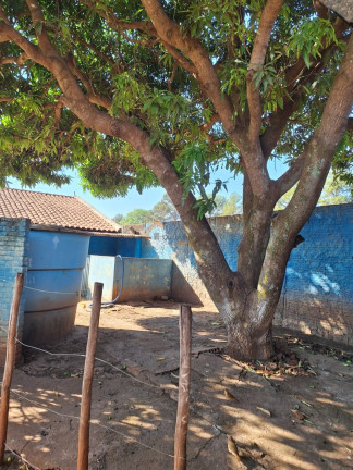 Imagem Imóvel com 5 Quartos à Venda, 1.200 m² em Estância Santa Paula (zona Rural) - São José Do Rio Preto Imagem Imóvel com 5 Quartos à Venda, 1.200 m² em Estância Santa Paula (zona Rural) - São José Do Rio Preto