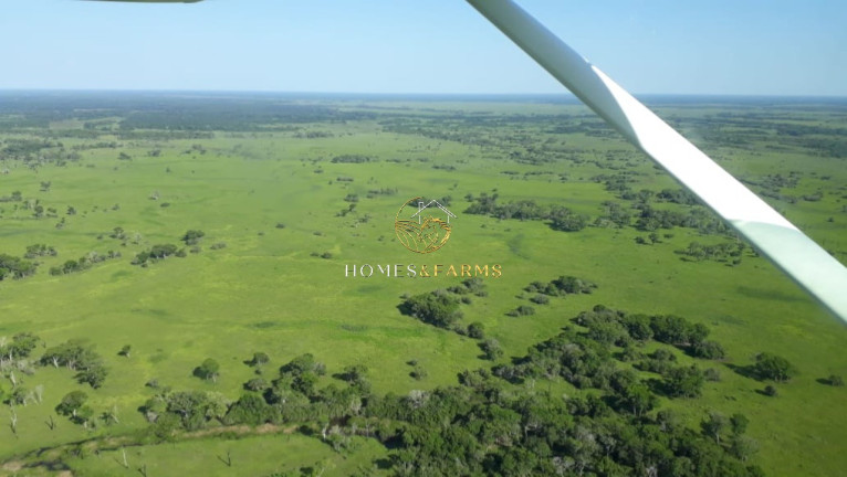 Imagem Imóvel com 3 Quartos à Venda, 88.000 m² em Zona Rural - Poconé Imagem Imóvel com 3 Quartos à Venda, 88.000 m² em Zona Rural - Poconé