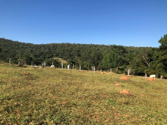 Imagem Fazenda à Venda, 229.899 m² em Centro - Córrego Do Ouro Imagem Fazenda à Venda, 229.899 m² em Centro - Córrego Do Ouro