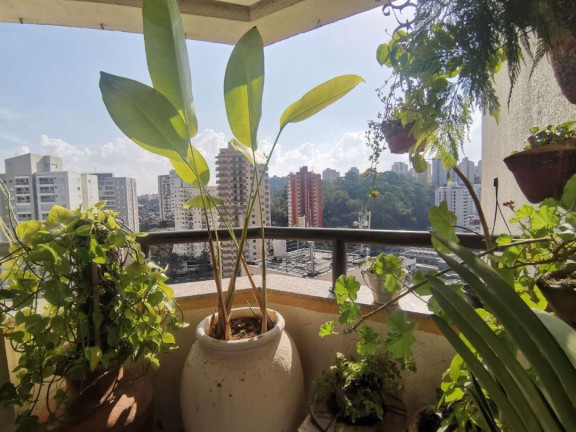 Imagem Apartamento com 3 Quartos à Venda, 130 m² em Vila Andrade - São Paulo Imagem Apartamento com 3 Quartos à Venda, 130 m² em Vila Andrade - São Paulo