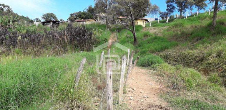 Imagem Imóvel com 3 Quartos à Venda, 20.000 m² em Serra Do Selado (rural) - Poços De Caldas