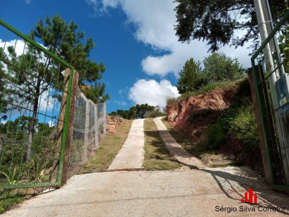 Imagem Terreno à Venda, 1 m² em Descansópolis - Campos Do Jordão Imagem Terreno à Venda, 1 m² em Descansópolis - Campos Do Jordão