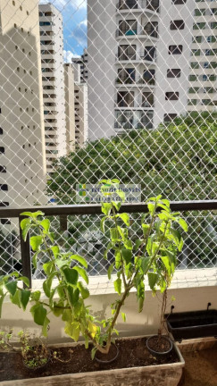 Imagem Apartamento com 3 Quartos à Venda, 200 m² em Aclimação - São Paulo Imagem Apartamento com 3 Quartos à Venda, 200 m² em Aclimação - São Paulo