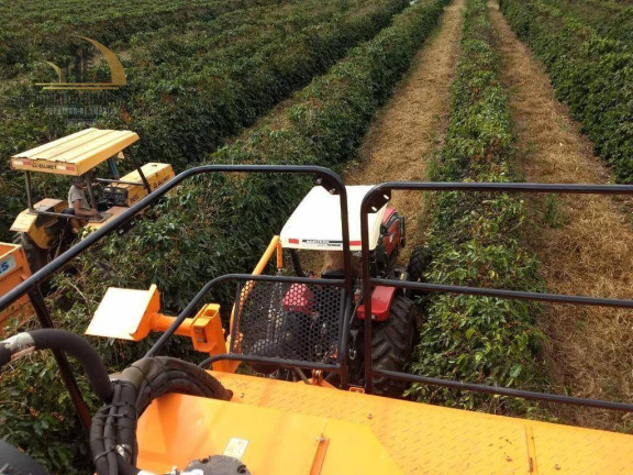 Imagem Fazenda à Venda, 31.860.000 m² em Zona Rural - Capelinha Imagem Fazenda à Venda, 31.860.000 m² em Zona Rural - Capelinha