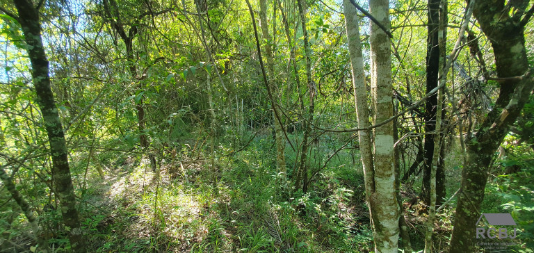 Imagem Terreno à Venda, 13 m² em área Rural De Esmeraldas - Esmeraldas Imagem Terreno à Venda, 13 m² em área Rural De Esmeraldas - Esmeraldas