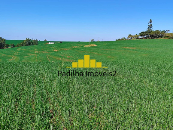 Imagem Fazenda à Venda, 136 m² em Capão Bonito