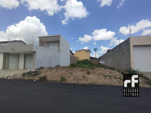 Imagem Terreno à Venda, 250 m² em São Luiz - Arapiraca