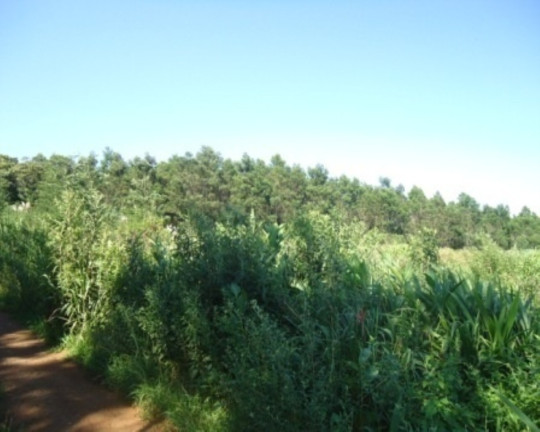Imagem Terreno à Venda, 4 m² em Morro Da Fome - Nova Petrópolis Imagem Terreno à Venda, 4 m² em Morro Da Fome - Nova Petrópolis