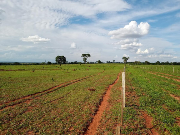 Imagem Fazenda à Venda, 2.027 m² em Rural - Campo Grande Imagem Fazenda à Venda, 2.027 m² em Rural - Campo Grande