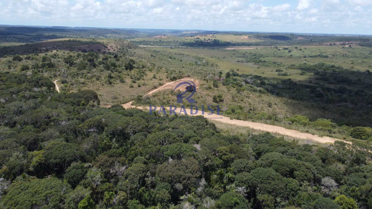 Imagem Fazenda à Venda, 579.000 m² em Zona Rural - Entre Rios Imagem Fazenda à Venda, 579.000 m² em Zona Rural - Entre Rios