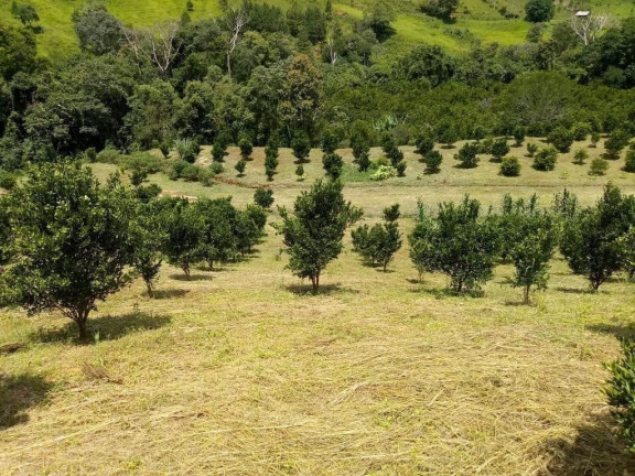 Imagem Imóvel com 2 Quartos à Venda, 51.700 m² em Centro - Cerro Azul