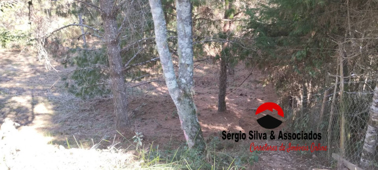Imagem Terreno à Venda, 1 m² em Campos Do Jordão Imagem Terreno à Venda, 1 m² em Campos Do Jordão
