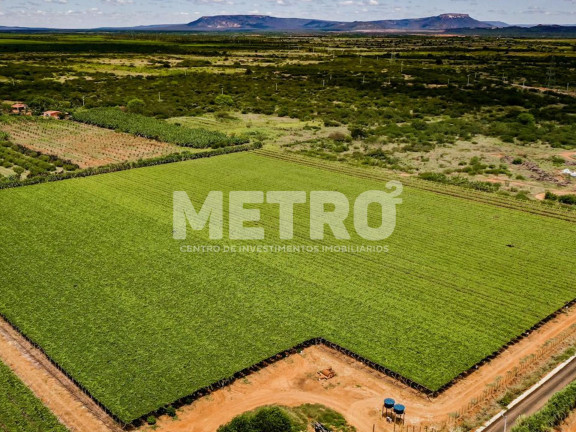Imagem Fazenda à Venda, 250.000 m² em Rod. Do Salitre - Juazeiro Imagem Fazenda à Venda, 250.000 m² em Rod. Do Salitre - Juazeiro