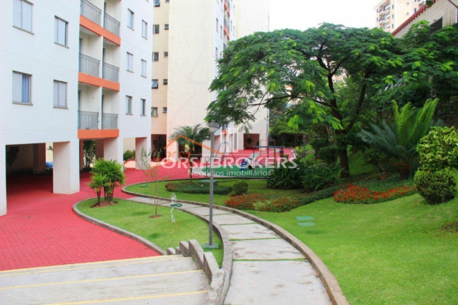Imagem Apartamento com 2 Quartos à Venda, 53 m² em Rio Pequeno - São Paulo Imagem Apartamento com 2 Quartos à Venda, 53 m² em Rio Pequeno - São Paulo