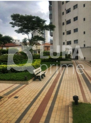 Imagem Apartamento com 3 Quartos à Venda, 175 m² em água Fria - São Paulo