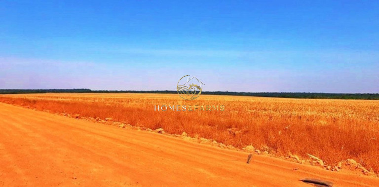 Imagem Imóvel com 3 Quartos à Venda, 90.000 m² em Jardim Primavera - Sinop Imagem Imóvel com 3 Quartos à Venda, 90.000 m² em Jardim Primavera - Sinop