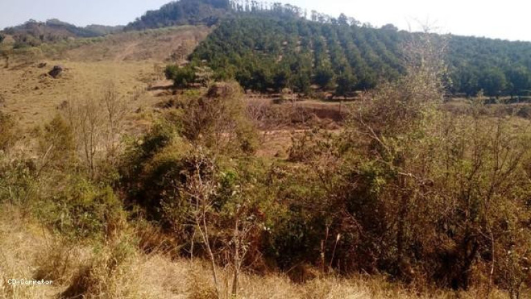 Imagem Terreno à Venda, 10.000 m² em Camanducaia Do Meio - Socorro