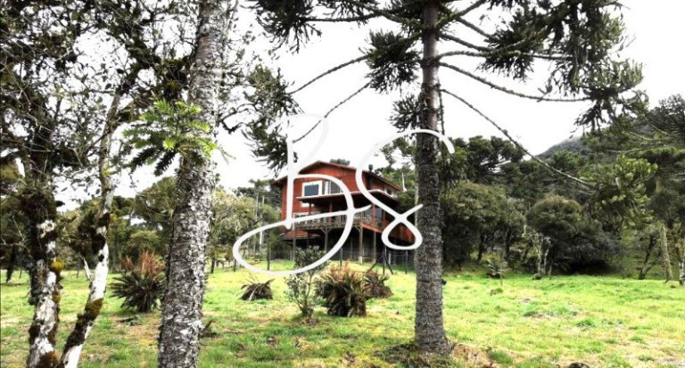 Imagem Imóvel com 2 Quartos à Venda, 20.000 m² em Urubici - Urubici