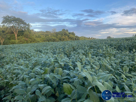 Imagem Chácara à Venda, 20 m² em Zona Rural - Rio Verde Imagem Chácara à Venda, 20 m² em Zona Rural - Rio Verde