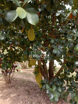 Imagem Imóvel com 4 Quartos à Venda, 5.000 m² em Chácara Vista Alegre - Itupeva