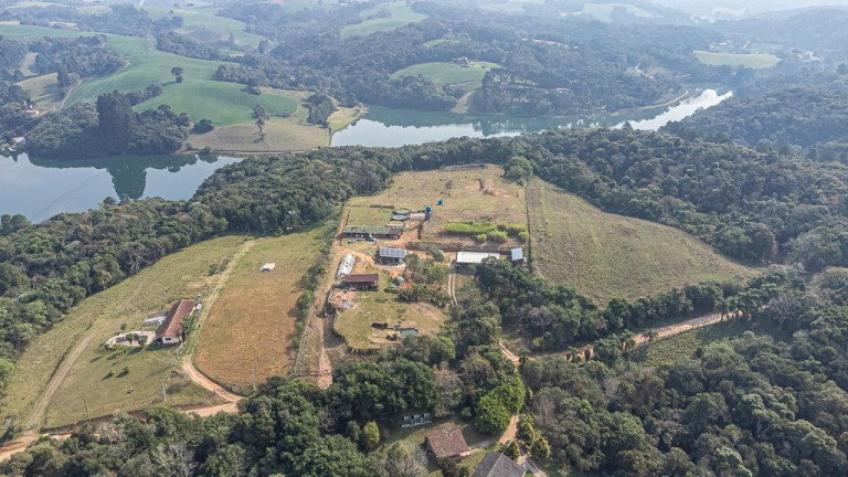 Imagem Imóvel com 1 Quarto à Venda, 22.000 m² em Vila David Antônio - Campo Largo