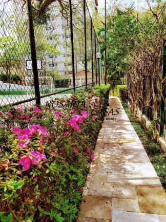 Imagem Apartamento com 3 Quartos à Venda, 80 m² em Chácara Flora - São Paulo Imagem Apartamento com 3 Quartos à Venda, 80 m² em Chácara Flora - São Paulo