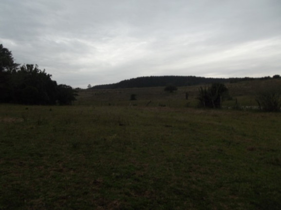 Imagem Chácara com 1 Quarto à Venda, 108.000 m² em Itapuã - Viamão