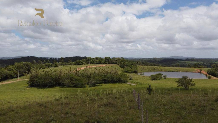 Imagem Chácara à Venda, 2.000 m² em Fiuza - Viamão Imagem Chácara à Venda, 2.000 m² em Fiuza - Viamão
