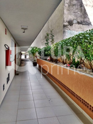 Imagem Apartamento com 2 Quartos à Venda, 46 m² em Vila Guilherme - São Paulo Imagem Apartamento com 2 Quartos à Venda, 46 m² em Vila Guilherme - São Paulo
