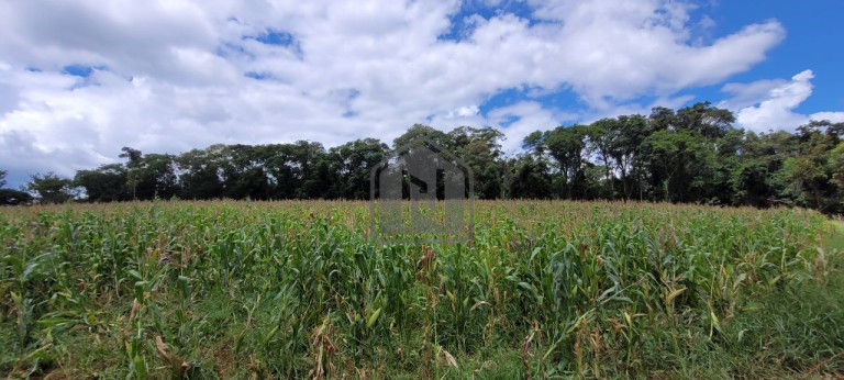 Imagem Imóvel à Venda, 2 m² em Presidente - Cascavel Imagem Imóvel à Venda, 2 m² em Presidente - Cascavel