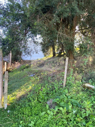 Imagem Terreno à Venda, 303 m² em Mossunguê - Curitiba Imagem Terreno à Venda, 303 m² em Mossunguê - Curitiba