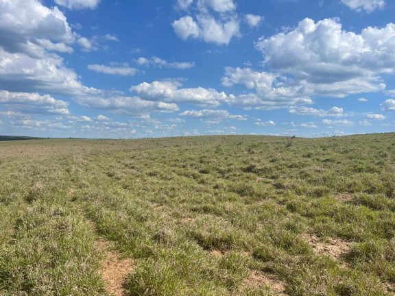 Imagem Fazenda à Venda, 70 m² em Itatinga - Itatinga