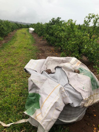 Imagem Chácara à Venda, 14 m² em Rural - águas De Santa Bárbara Imagem Chácara à Venda, 14 m² em Rural - águas De Santa Bárbara