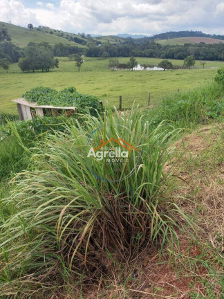 Imagem Imóvel com 3 Quartos à Venda, 12.500 m² em Ouro Fino - Ouro Fino Imagem Imóvel com 3 Quartos à Venda, 12.500 m² em Ouro Fino - Ouro Fino