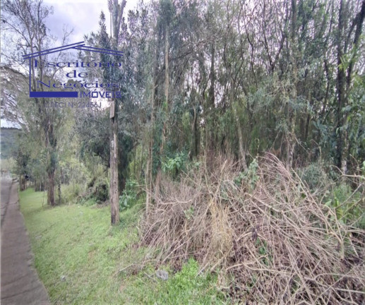 Imagem Terreno à Venda, 2.383 m² em Lomba Do Pinheiro - Porto Alegre Imagem Terreno à Venda, 2.383 m² em Lomba Do Pinheiro - Porto Alegre