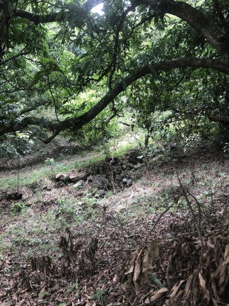 Imagem Imóvel à Venda, 1.200 m² em Campo Grande - Rio De Janeiro