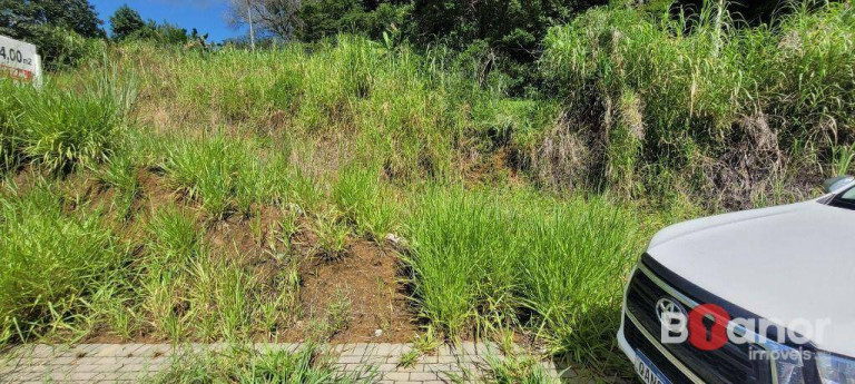 Imagem Terreno à Venda, 1.009 m² em Itoupavazinha - Blumenau Imagem Terreno à Venda, 1.009 m² em Itoupavazinha - Blumenau