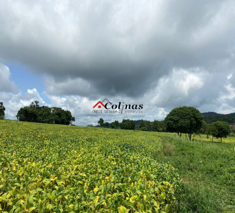 Imagem Terreno à Venda, 276.773 m² em Depois Do Centro - Ibiúna Imagem Terreno à Venda, 276.773 m² em Depois Do Centro - Ibiúna