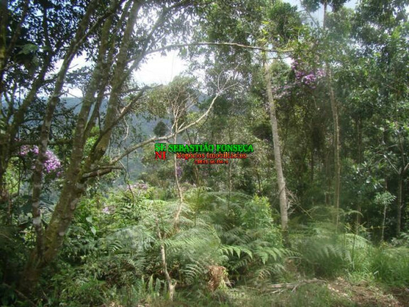 Imagem Chácara à Venda, 200 m² em São Francisco Xavier - São José Dos Campos Imagem Chácara à Venda, 200 m² em São Francisco Xavier - São José Dos Campos